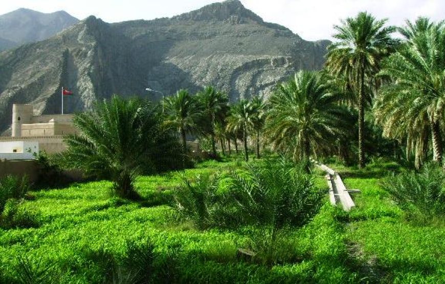 Bahla-Jabreen-Jabal Akhdar  Mountain – General